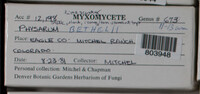 Image Associated With the Occurence